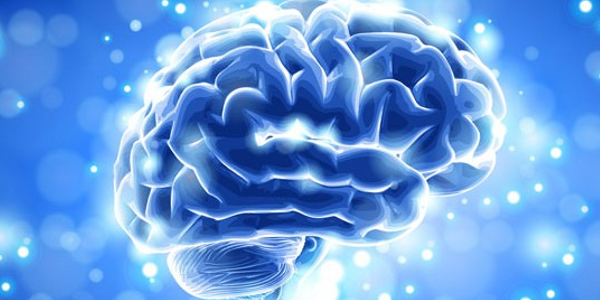 neurosurgery1