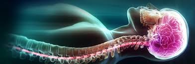 neurosurgery